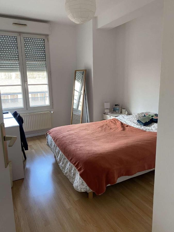 Trefilerie Apartment Saint-Etienne (Loire)