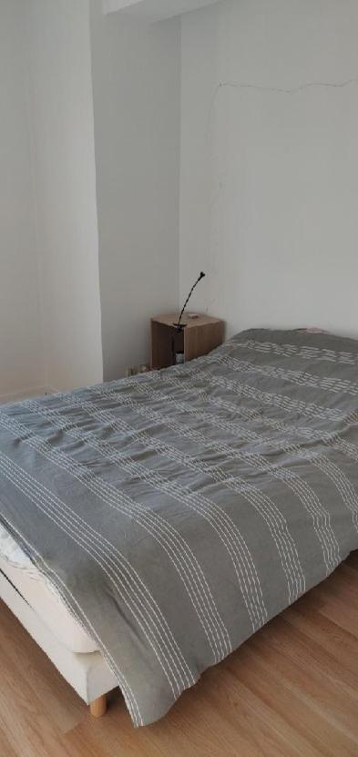 Apartment Trefilerie *
